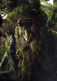 img Sylvebarbe.jpg
